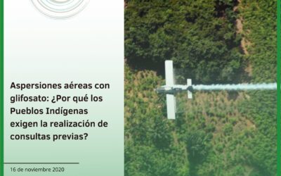 Aspersiones aéreas con glifosato: ¿Por qué los Pueblos Indígenas exigen la realización de consultas previas?