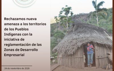Rechazamos nueva amenaza a los territorios de los pueblos indígenas con la iniciativa de reglamentación de las Zonas de Desarrollo Empresarial