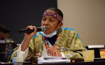 Política Inconsulta de Catastro Multipropósito y Barrido Predial