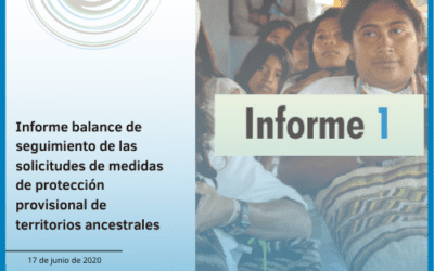 Informe balance de seguimiento de las solicitudes de medidas de protección provisional de territorios ancestrales