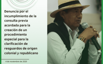 Denuncia por el incumplimiento de la consulta previa acordada para la creación de un procedimiento especial para la clarificación de resguardos de origen colonial y republicano
