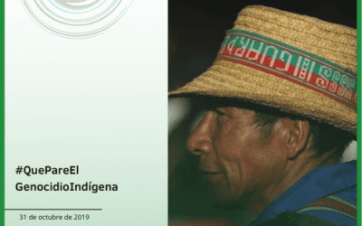 #QuePareElGenocidioIndígena