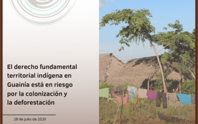 El derecho fundamental territorial indígena en Guainía está en riesgo por la colonización y la deforestación