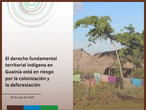 El derecho fundamental territorial indígena en Guainía está en riesgo por la colonización y la deforestación