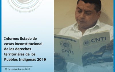 Informe: Estado de cosas inconstitucional de los derechos territoriales de los Pueblos Indígenas 2019