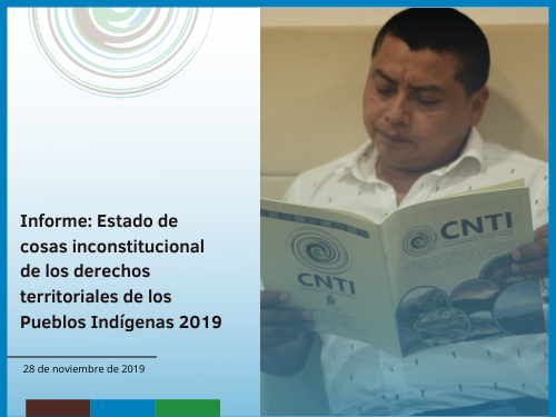 Informe: Estado de cosas inconstitucional de los derechos territoriales de los Pueblos Indígenas 2019