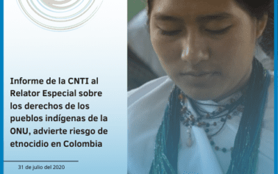 Informe de la CNTI al Relator Especial sobre los derechos de los pueblos indígenas de la ONU, advierte riesgo de etnocidio en Colombia