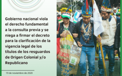 Gobierno nacional viola el derecho fundamental a la consulta previa y se niega a firmar el decreto para la clarificación de la vigencia legal de los títulos de los resguardos de Origen Colonial y/o Republicano