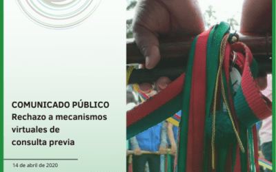 Rechazo a mecanismos virtuales de consulta previa