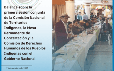 Balance sobre la primera sesión conjunta de la Comisión Nacional de Territorios Indígenas, la Mesa Permanente de Concertación y la Comisión de Derechos Humanos de los Pueblos Indígenas con el Gobierno Nacional