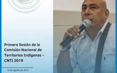 Primera Sesión de la Comisión Nacional de Territorios Indígenas – CNTI 2019