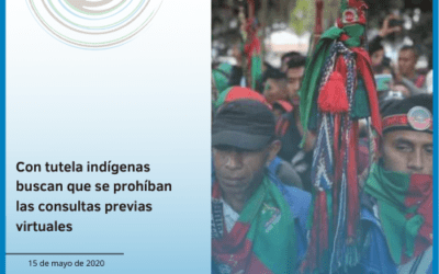 Con tutela indígenas buscan que se prohíban las consultas previas virtuales