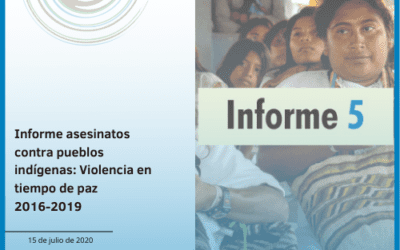 Informe asesinatos contra pueblos indígenas: Violencia en tiempo de paz 2016-2019