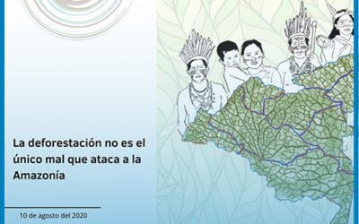 La deforestación no es el único mal que ataca a la Amazonía