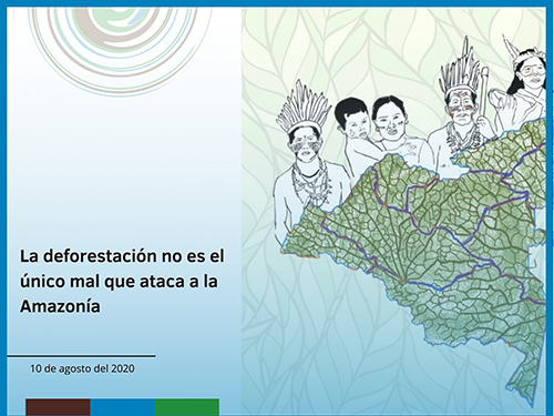 La deforestación no es el único mal que ataca a la Amazonía