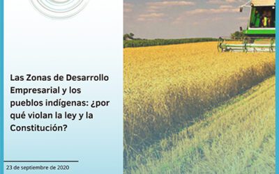 Las Zonas de Desarrollo Empresarial y los pueblos indígenas: ¿por qué violan la ley y la Constitución?