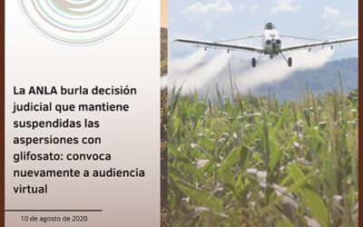 La ANLA burla decisión judicial que mantiene suspendidas las aspersiones con glifosato: convoca nuevamente a audiencia virtual
