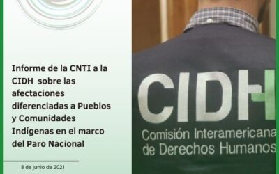 Informe de la CNTI a la CIDH sobre las afectaciones diferenciadas a Pueblos y Comunidades Indígenas en el marco del Paro Nacional