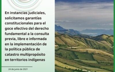 En instancias judiciales, solicitamos garantías constitucionales para el goce efectivo del derecho fundamental a la consulta previa, libre e informada en la implementación de la política pública de catastro multipropósito en territorios indígenas