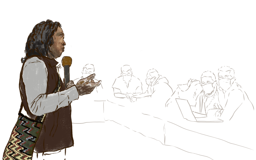 Racismo y discriminación estructural por parte del gobierno nacional en contra de los Pueblos Indígenas de Colombia