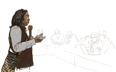 Racismo y discriminación estructural por parte del gobierno nacional en contra de los Pueblos Indígenas de Colombia