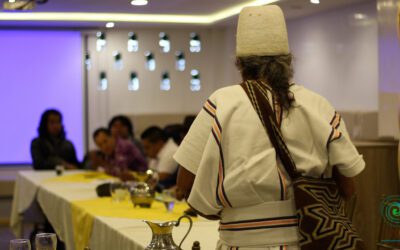 Contra el racismo estructural: medidas de reparación y justicia para los Pueblos Indígenas