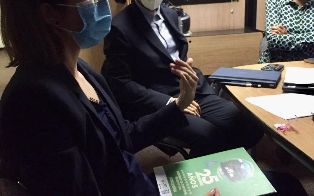 Aproximaciones generales de los territorios indígenas ante la OCDE