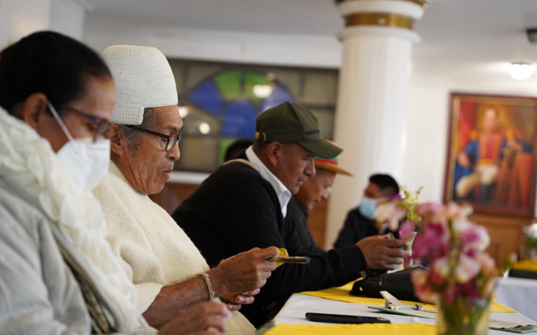 Falta de garantías para protección y restitución de los derechos territoriales de los Pueblos Indígenas de la Altillanura