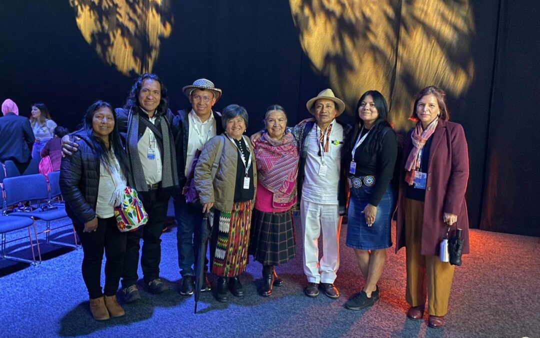 Participación del Observatorio de Derechos Territoriales de los Pueblos Indígenas en Estocolmo+50