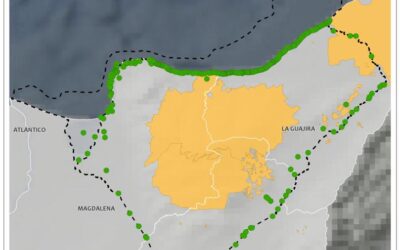 La CNTI acompaña a los Cuatros pueblos Indígenas de la Sierra Nevada de Santa Marta en la defensa Jurídica del Decreto 1500 de 2018