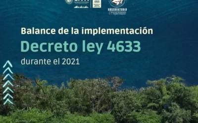 Informe balance de la implementación Decreto Ley 4633
