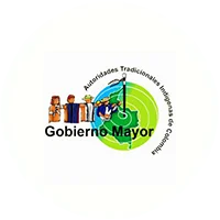 gobierno mayor