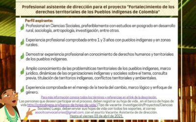 CONVOCATORIA Profesional asistente de dirección para el proyecto Fortalecimiento de los derechos territoriales de los Pueblos Indígenas de Colombia