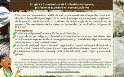 CONVOCATORIA Dirigida a los miembros de los Pueblos Indigenas profesional experto/a en comunicaciones