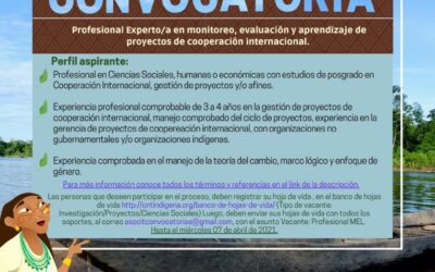 CONVOCATORIA Profesional Experto/a en monitoreo evaluación y aprendizaje de proyectos de cooperación internacional