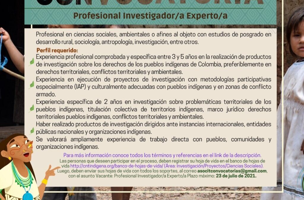 CONVOCATORIA Profesional Investigador/a Experto/a