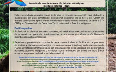 CONVOCATORIA Consultoría para la formulación del plan estratégico