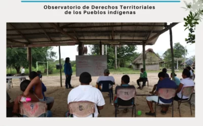 Territorios bajo la lupa diciembre 2021