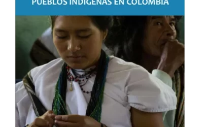 Impactos del Covid-19 en los Derechos Territoriales de los Pueblos Indígenas en Colombia