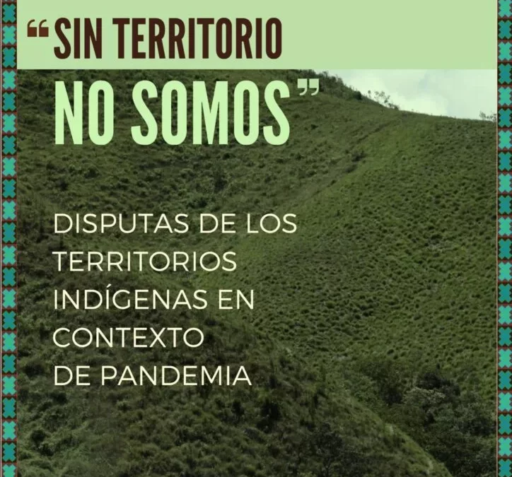 Informe Disputas de los Territorios Indígenas en contexto de pandemia