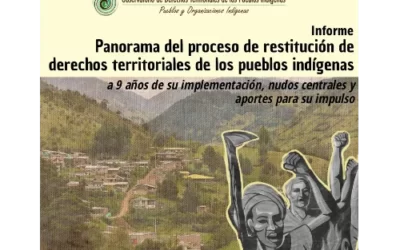 Informe Panorama del proceso de restitución de Derechos Territoriales de los Pueblos Indígenas