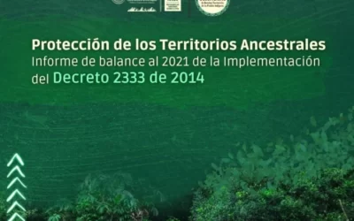 Informe Decreto 2333 de 2014