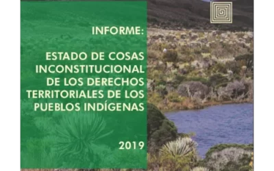 Informe estado de cosas inconstitucional de los Derechos Territoriales de los Pueblos Indígenas 2019