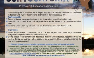 CONVOCATORIA Profesional diseñador páginas web