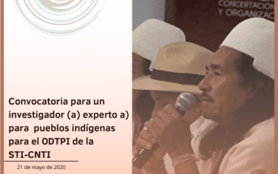 Convocatoria para un investigador (a) experto a) para pueblos indígenas para el ODTPI de la STI-CNTI