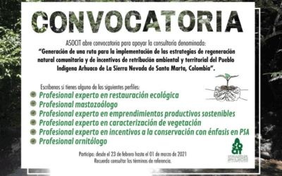 ASOCIT abre convocatoria para apoyar la consultoría