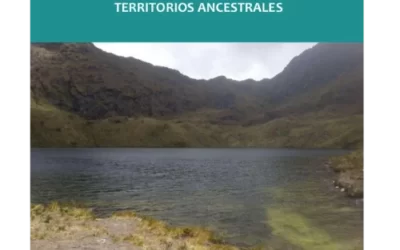 Informe Balance de seguimiento de las solicitudes de medidas de protección provisional de Territorios Ancestrales