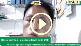 Amazonía y pueblos indígenas: Extractivismo, defensa del territorio y biodiversidad
