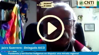 Lanzamiento informe covid-19