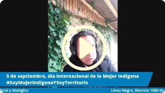Línea Negra, El decreto 1500 de 2018 y la protección de la diversidad étnica, cultural y biológica